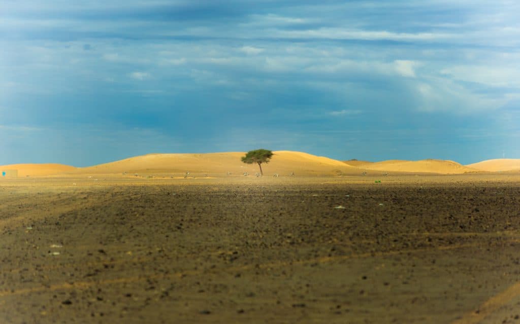 Resilience