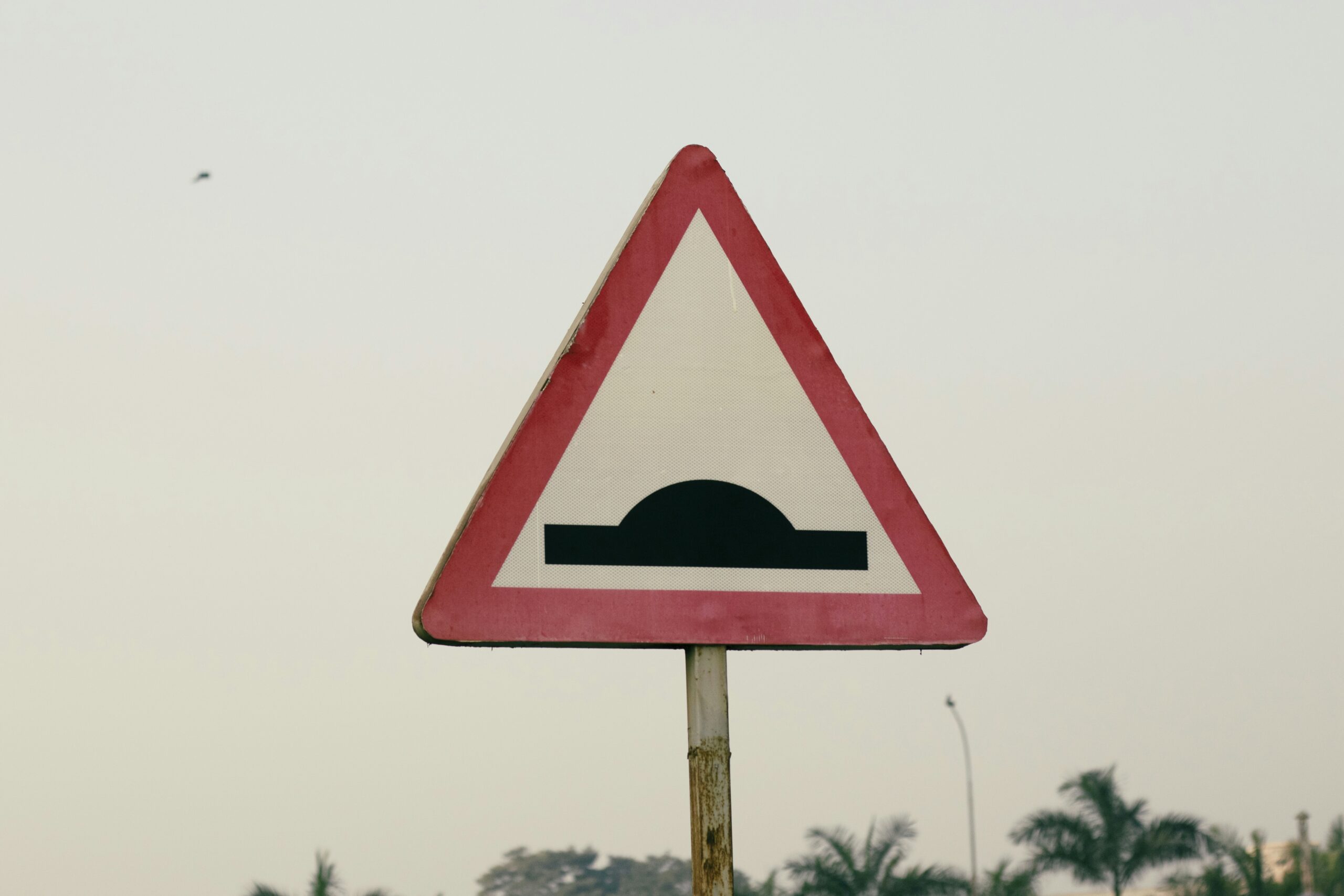Road bumps ahead when scaling